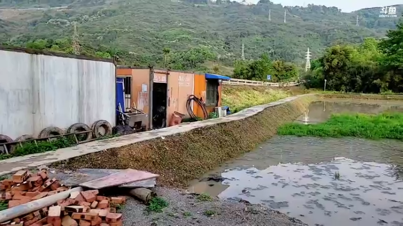 【2022-04-02 17点场】逐梦兄弟：《牙滨逊漂流记》