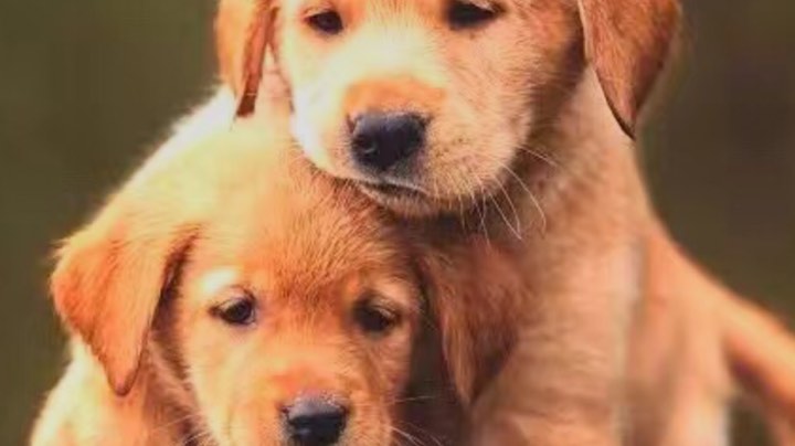 又是一天