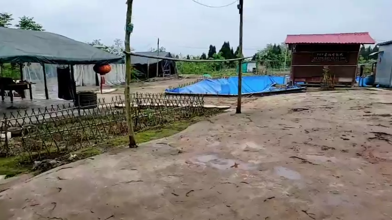 【2022-04-02 11点场】川味箩卜：【双倍亲密度】四月新的开始~