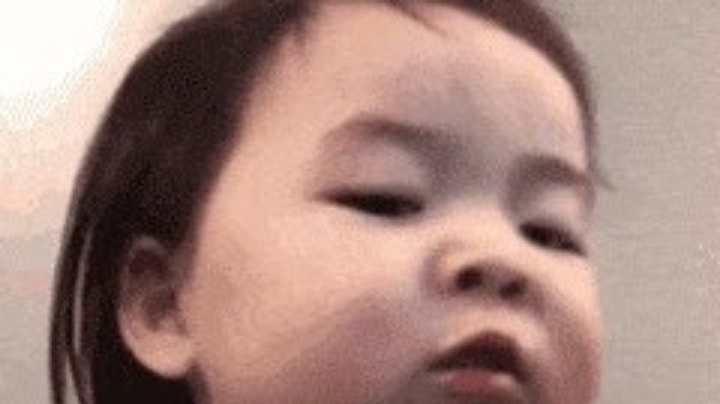 又回来了