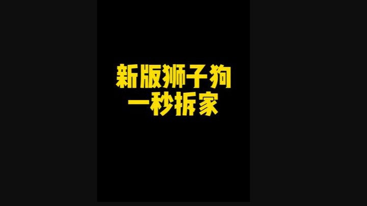 新版狮子狗一秒拆家
