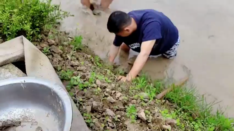 【2022-04-03 13点场】逐梦兄弟：早上十点开播