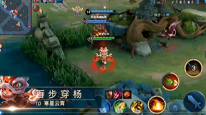 给你们露一手