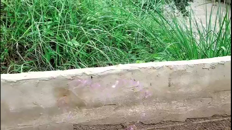 【2022-04-03 16点场】主播阿郎：海南环岛游25