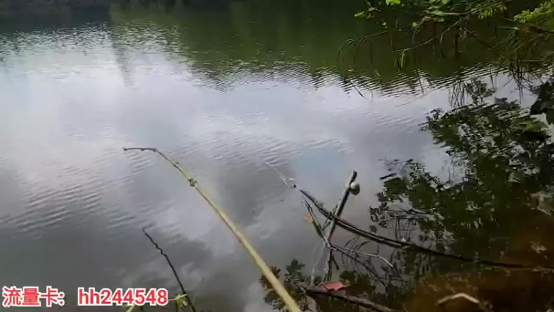 【2022-04-02 10点场】叶子户外：《盲盒求生》day2。