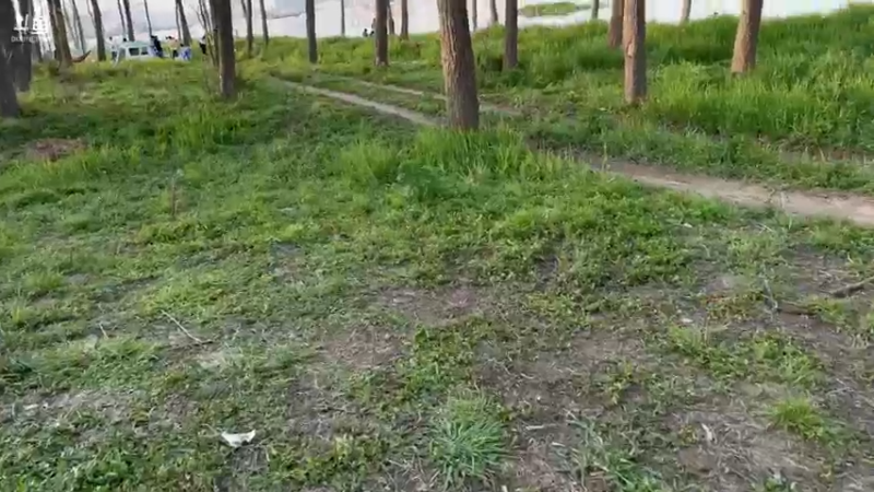 【2022-04-03 17点场】蓝战非OvO：今天播户外美食