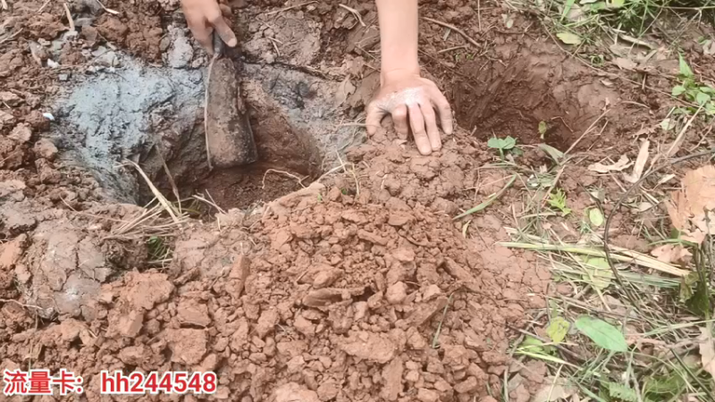 【2022-04-02 12点场】叶子户外：《盲盒求生》day2。