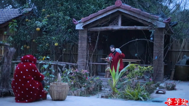 我在斗鱼看李子柒liziqi直播美食