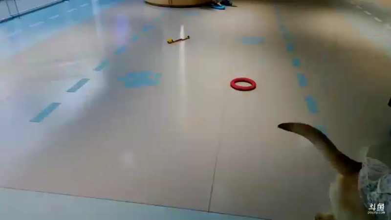 【2022-04-03 16点场】赛文柒Seven：亲子周末（杭州）