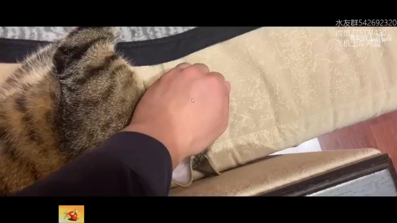 【2022-04-02 17点场】小粥泥浆：关键词:健康又阳间！！