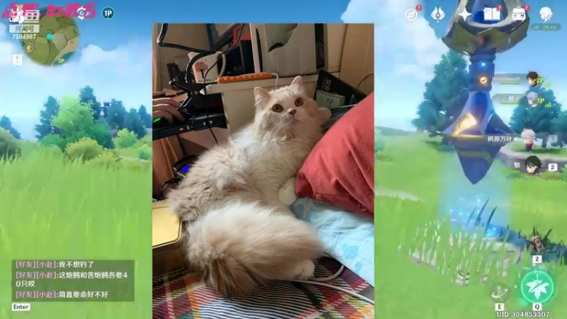 【2022-04-02 16点场】Corgi酱紫：鬼鬼代播 帮肝材料喔