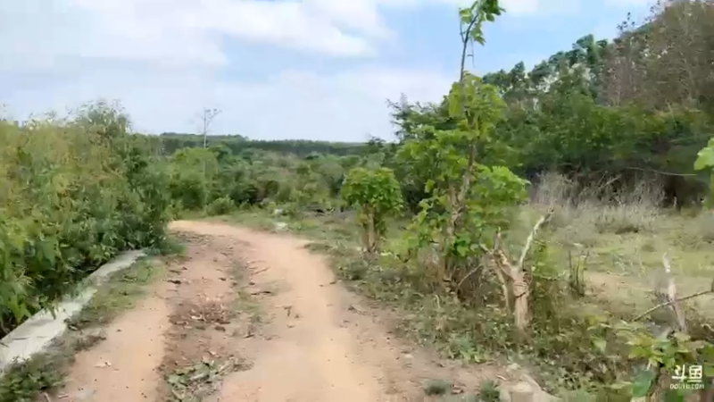 【2022-04-03 15点场】主播阿郎：海南环岛游25