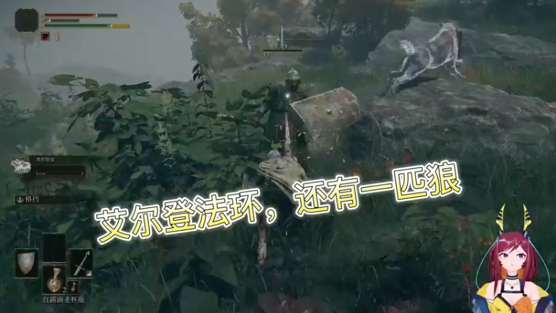 艾尔登法环，还有一匹狼
