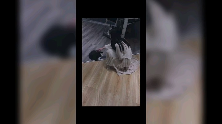 今天去猫咖撸猫了，好开心，晚安