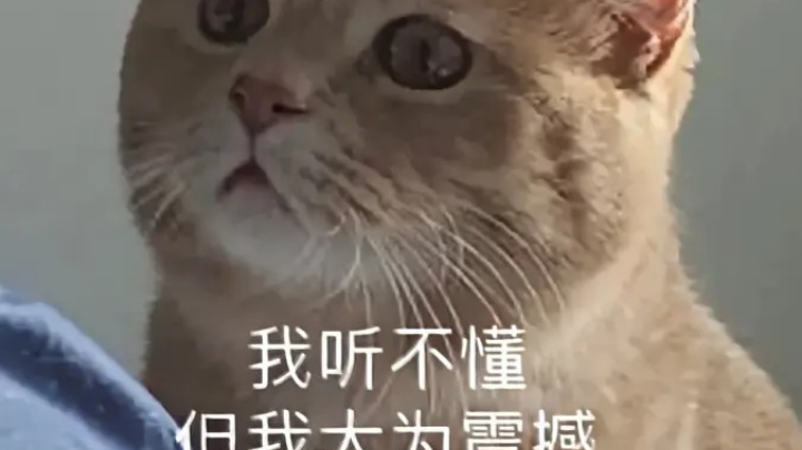 安静的玩玩就好