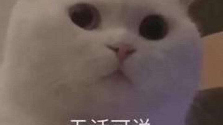 1直播回看