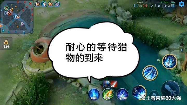 耐心的等待猎物的到来
