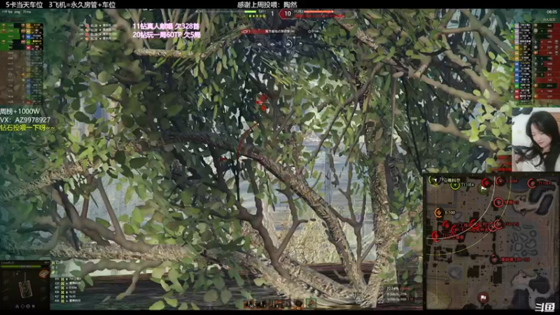 【2022-04-03 22点场】曾小懒不懒：虚弱的懒宝！