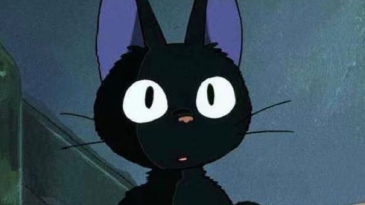 233