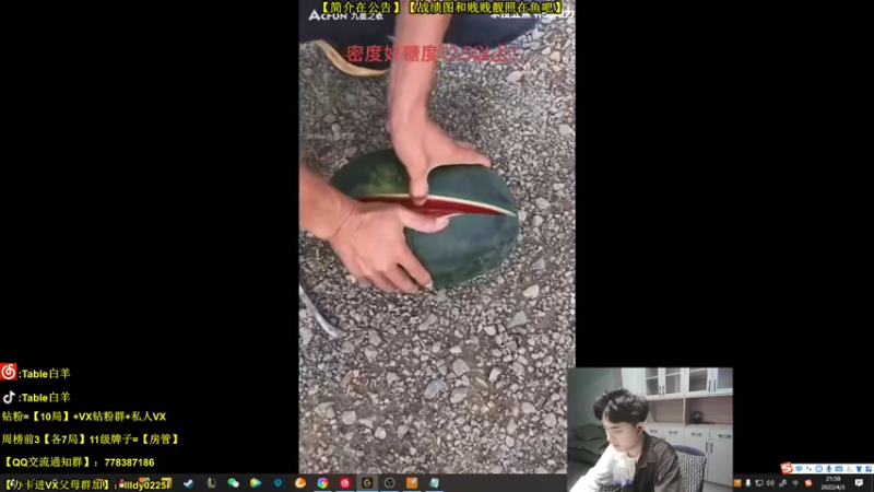 【2022-04-03 21点场】Table白羊：【第一妖姬】【中单霸主】