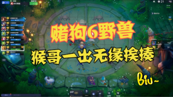 赌狗流6野兽，猴哥一出无缘挨揍