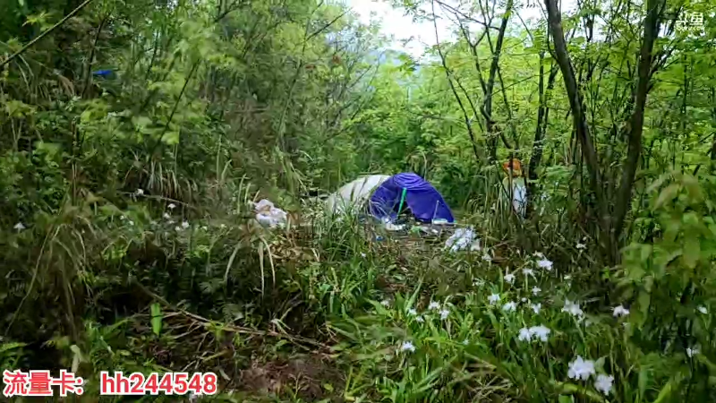 【户外】叶子户外的精彩时刻 20220404 18点场