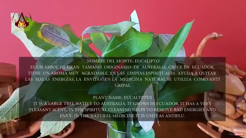 泰国massageB (21)