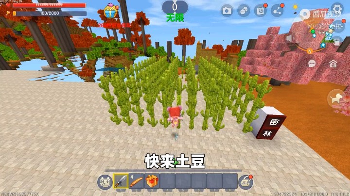 迷你世界六周年：灵魂生存！半拉的玄武龟和土豆的冰熊，谁厉害？