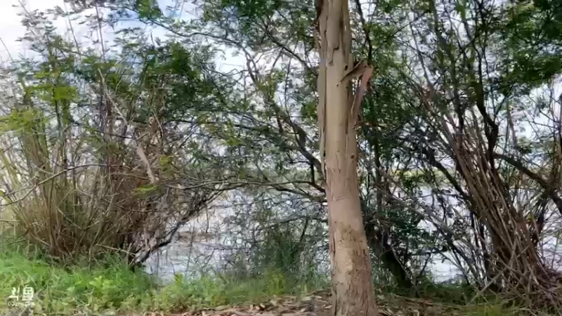 【2022-04-04 13点场】主播阿郎：海南环岛游26手机找到了