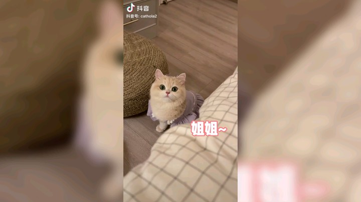 YL丶小舞发布了一个斗鱼视频2022-04-04
