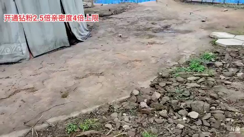 【2022-04-04 10点场】川味箩卜：新的一周开始啦！冲冲冲