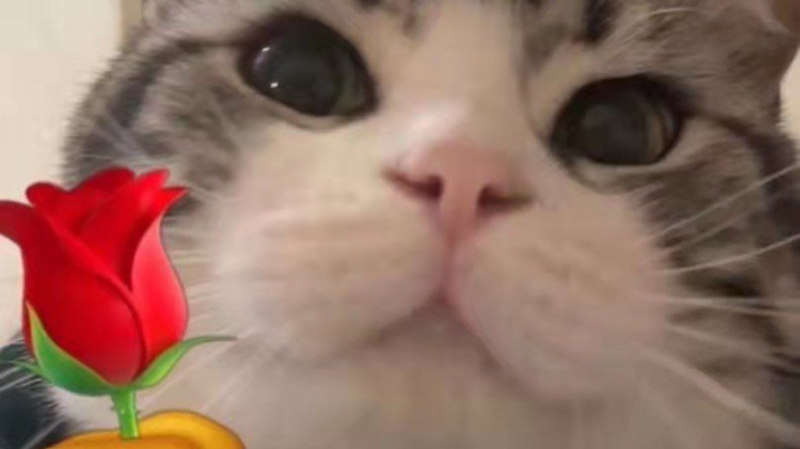 在聚窟洲猛练