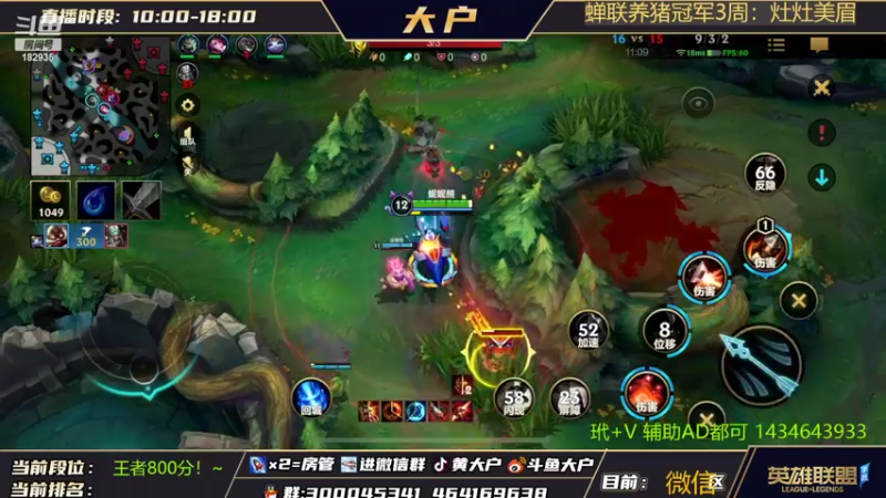 【2022-04-03 17点场】大户呀：TO猫咪 大户辅助！屠杀盛宴