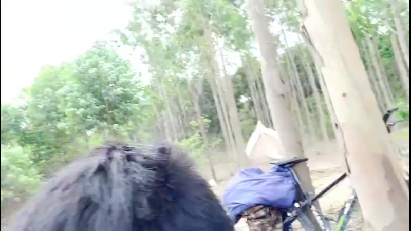 【2022-04-04 14点场】主播阿郎：海南环岛游26手机找到了