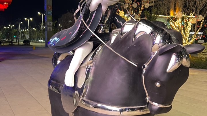 小新很厉害