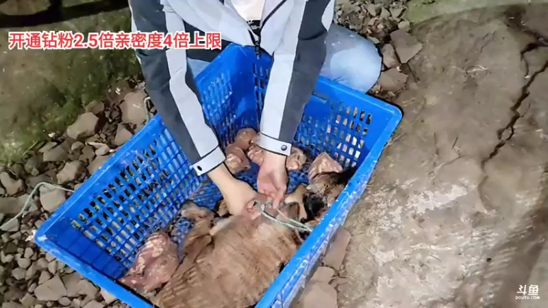 【2022-04-03 22点场】川味箩卜：欢迎酒仙哥回基地~