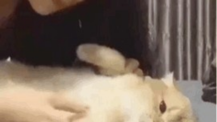 。。