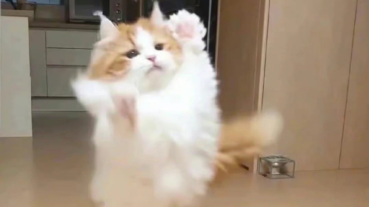 只是过客