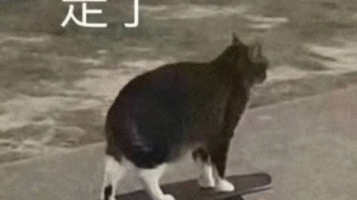 轮播用