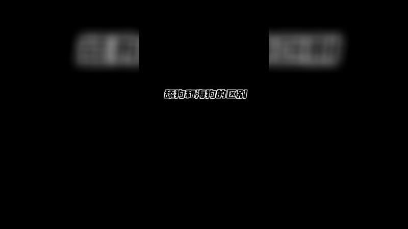 舔狗和海的区别