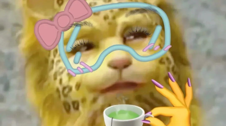 菜菜菜