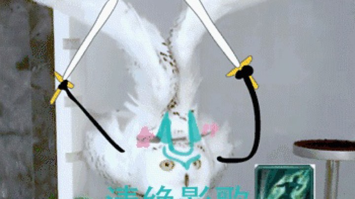 轮播用