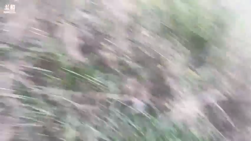 【2022-04-05 18点场】主播阿郎：海南环岛游27去松桃水库