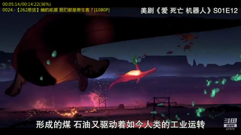【2022-04-05 03点场】军武直播：熊师折戟！为啥大毛出战不利？