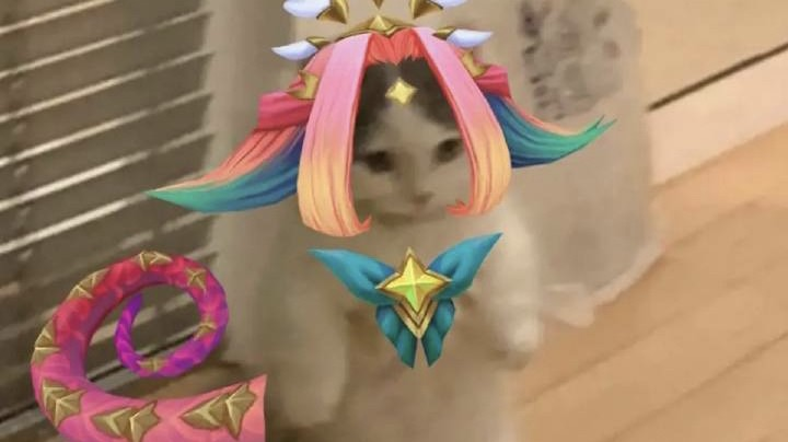 妮蔻