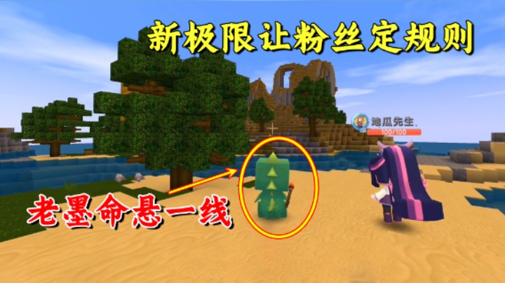 百日极限生存14：新的生存让粉丝制定规则？家族内乱老墨命悬一线