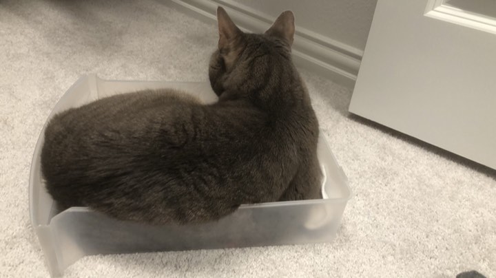 炸弹人