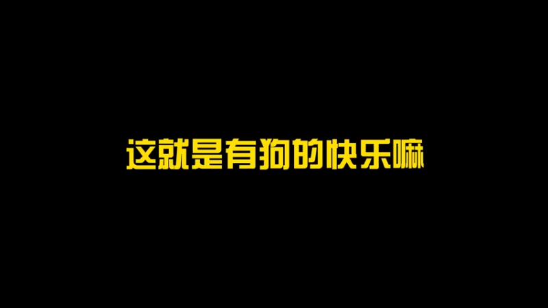 我以为这个游戏只有人玩，怎么还有“狗”玩？