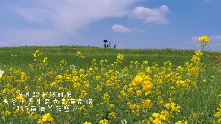 20220406T游光谷