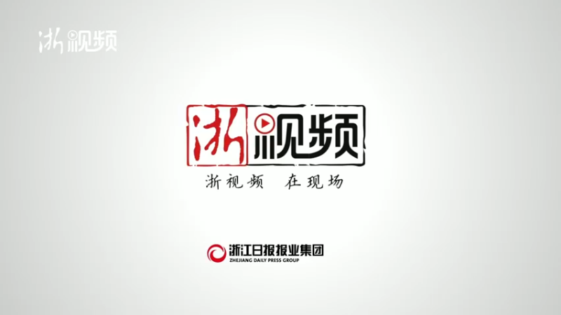 【2022-04-06 18点场】浙江日报直播室：浙大教授为您导览“中国历代绘画大系”特展